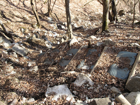 20160218hike (528)
